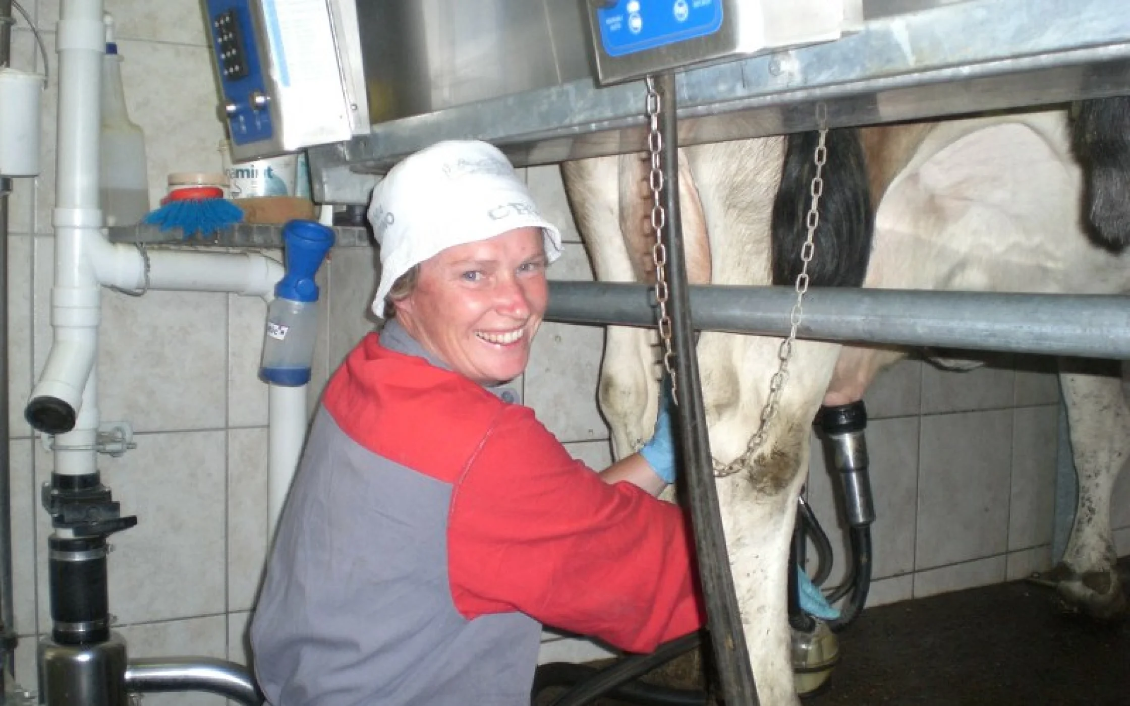 Martina Eisath_schlechte Qualitt_800x600.jpg